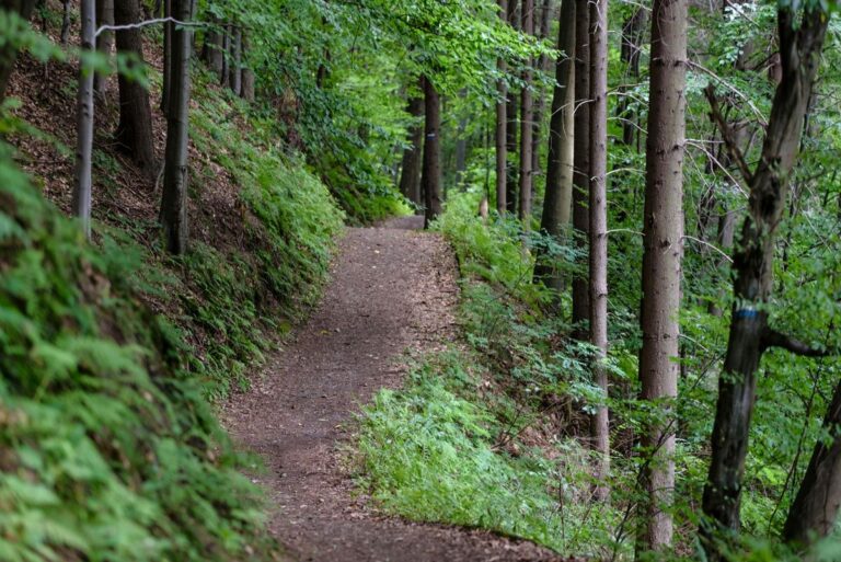 Hiking-Trail in Hildesheim, ideal für Wandern in Hildesheim.