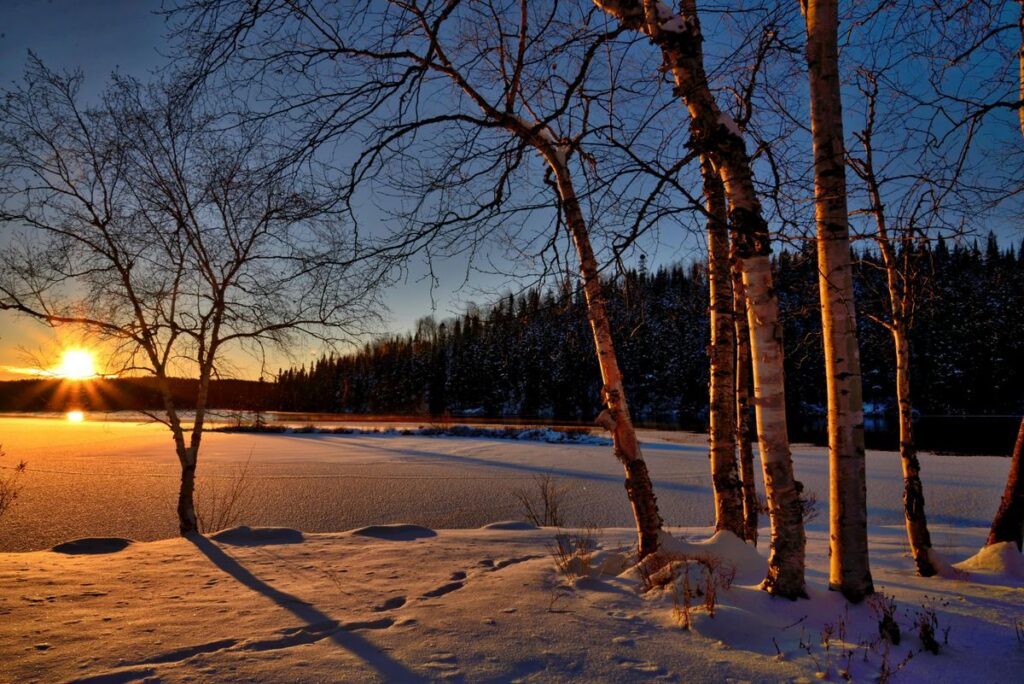 Wintereinbruch in Niedersachsen: Schneebedeckte Winterlandschaft mit frostigen Bäumen und klarem Himmel.