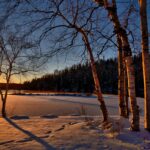 Wintereinbruch in Niedersachsen: Schneebedeckte Winterlandschaft mit frostigen Bäumen und klarem Himmel.