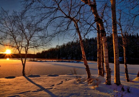 Wintereinbruch in Niedersachsen: Schneebedeckte Winterlandschaft mit frostigen Bäumen und klarem Himmel.