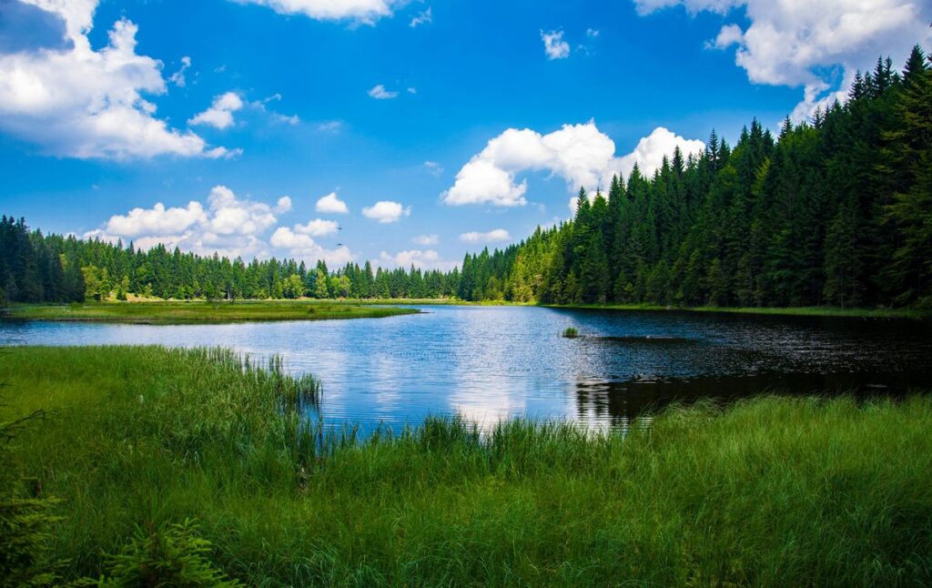 See mit den besten 10 Orten zum Angeln in Niedersachsen im Hintergrund.