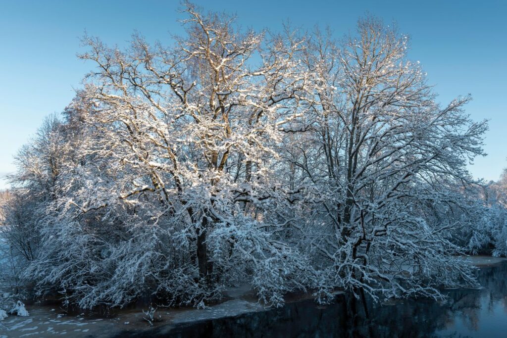 Frostiger Morgen während des Wintereinbruchs in Niedersachsen.